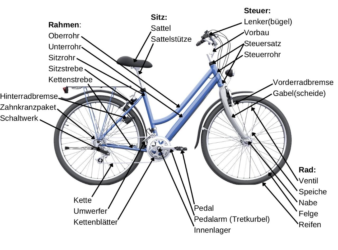 Fahrrad kaufen: So gelingt's - M94.5
