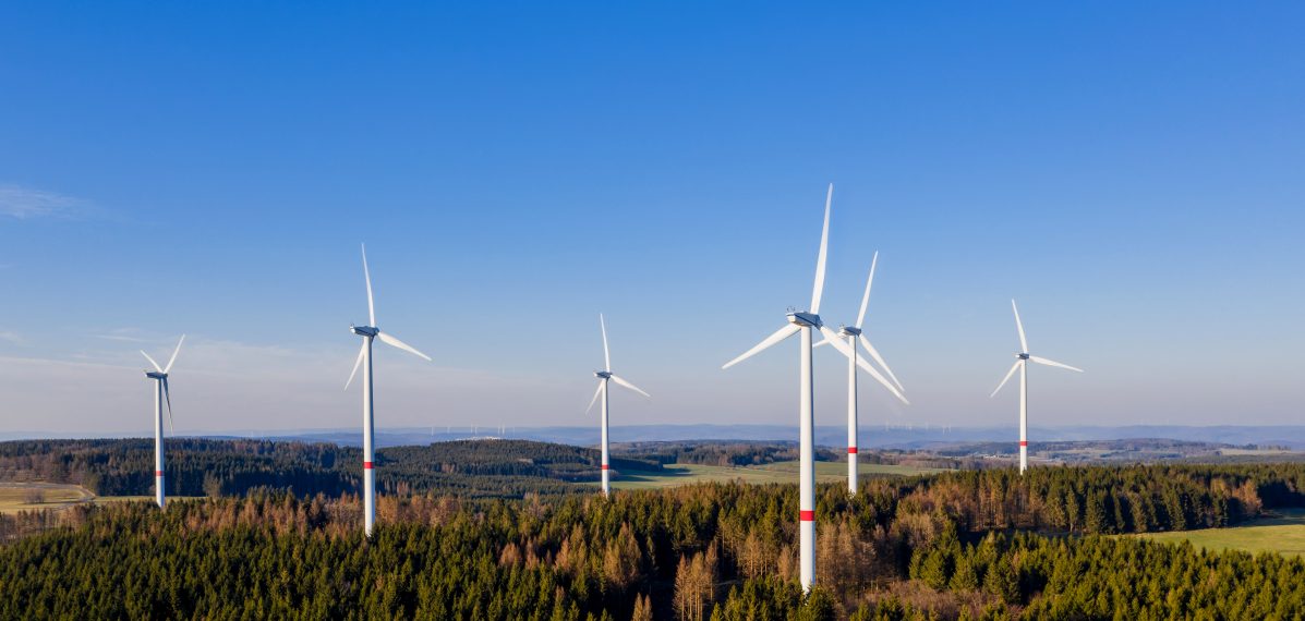 Windräder in Wald