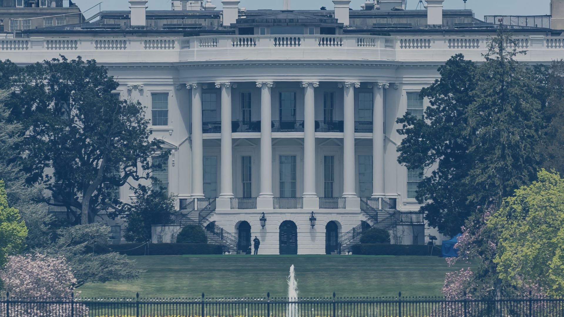 WANN WAR US WAHL 2024 visual data 5