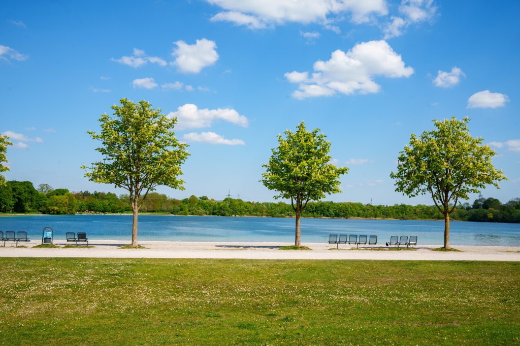 Bild: Shutterstock / Sandra Alkado