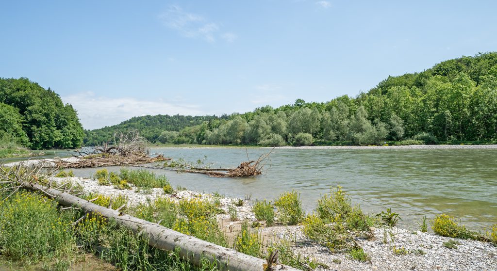 Bild: Shutterstock / Zyankarlo