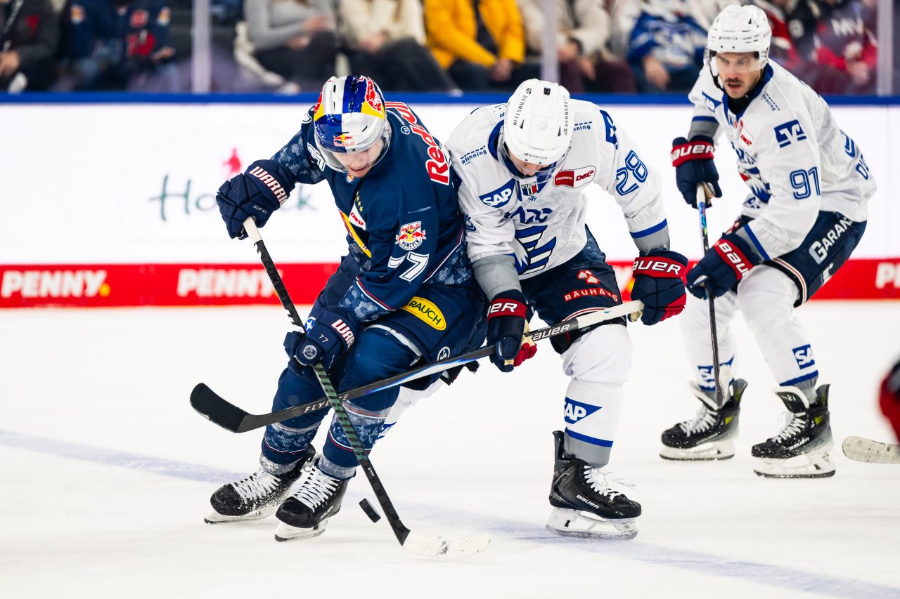 EHC Red Bull München / City-Press GmbH
